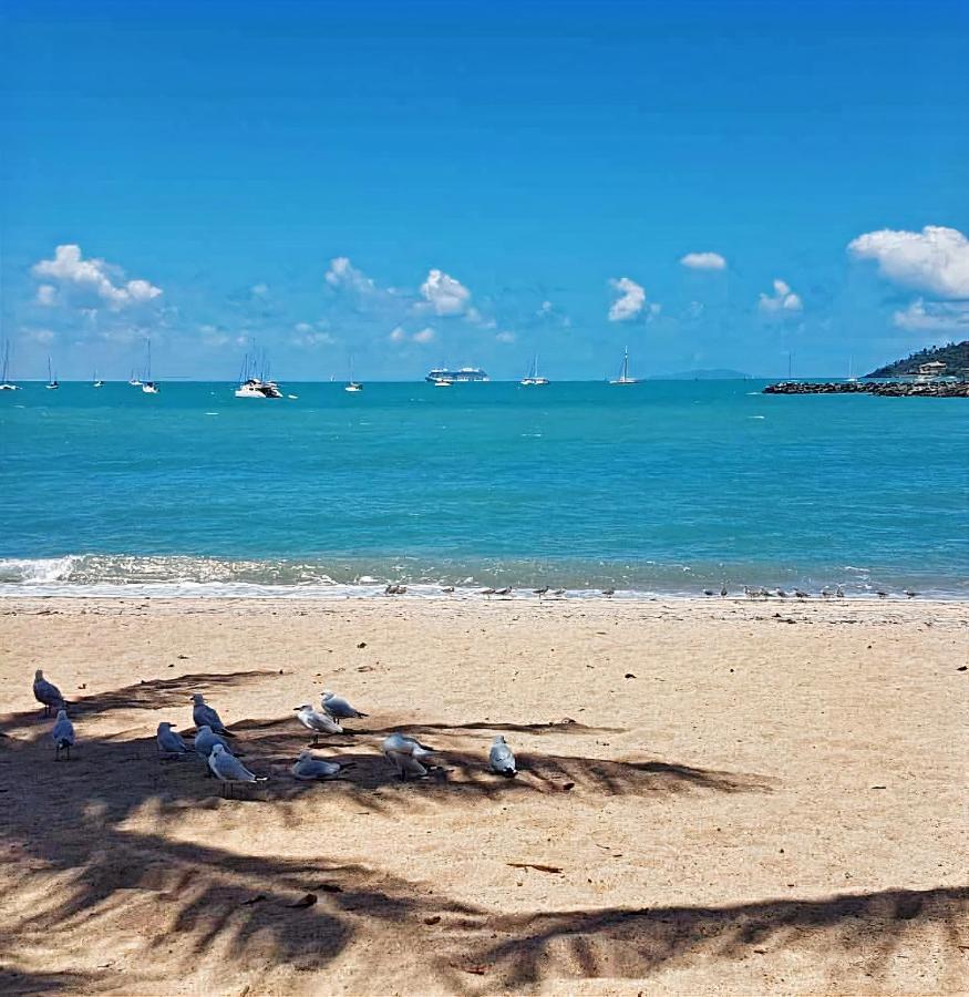 La Villa At Beach Court 埃尔利海滩 外观 照片